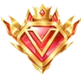 13L VIP levels